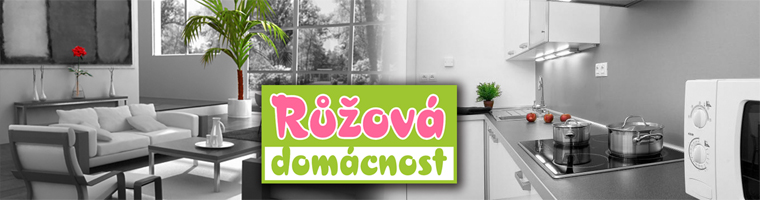Rov domcnost - household cleaning and others services for household